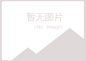 陕西夏岚化学有限公司